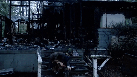 bradleysmith8f8c monster wach wach fox chloe carlson GIF