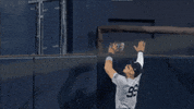 Major League Baseball Sport GIF by MLB