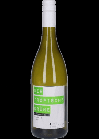 vanWEINS giphygifmaker wine wein weisswein GIF
