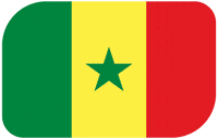 World Cup Football GIF