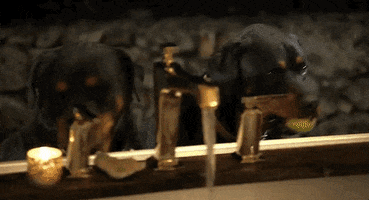 mtv justin bobby GIF by The Hills: New Beginnings