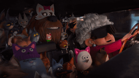 Driving Cat Lady GIF by The Secret Life Of Pets