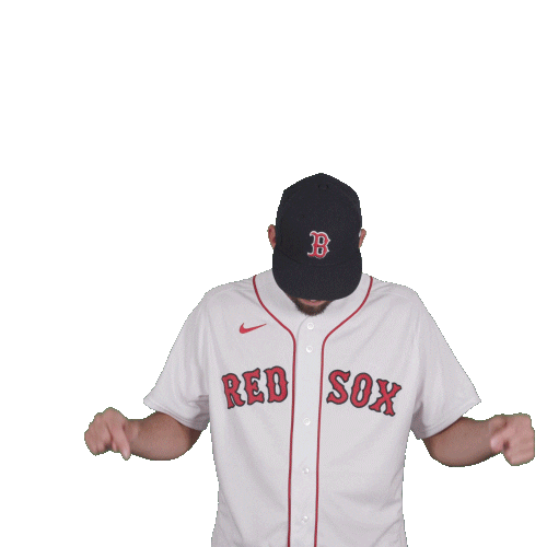 Red Sox Baseball Sticker by Boston Red Sox