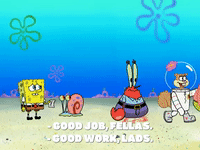 season 8 GIF by SpongeBob SquarePants