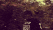 Trees Fate GIF by Casanova Records