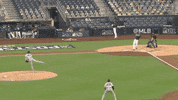 New York Yankees Wow GIF by Jomboy Media