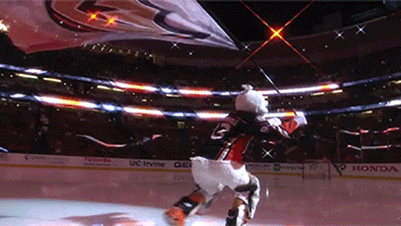 GIF by Anaheim Ducks