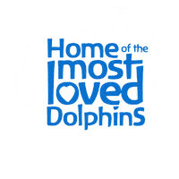 Isla Mujeres Experience Sticker by Dolphin Discovery