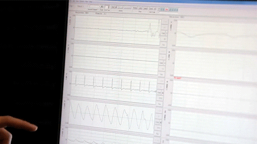 uc berkeley data GIF by University of California