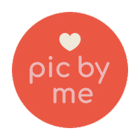 creativeco creativecophoto creativeco picbyme Sticker