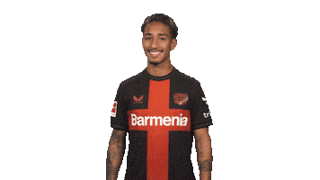 Bayer Leverkusen Wink Sticker by Bundesliga