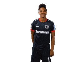 Bayer 04 Yes Sticker by Bayer 04 Leverkusen