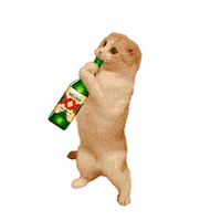 Edm Mixx Sticker by DosEquis
