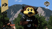 College Sports Colorado GIF by College Colors Day