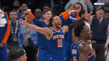 Happy New York Knicks GIF by NBA