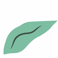 GIF by Orballo