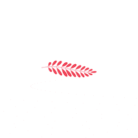 Eulaliamanual GIF by Eulália Bordado Manual