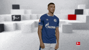 Posing Line Up GIF by Bundesliga