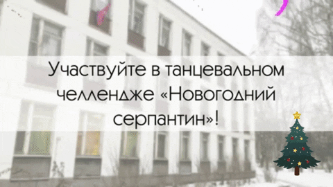 yanapoddubchak giphygifmaker giphyattribution GIF