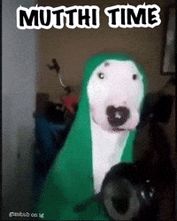 White Dog GIF
