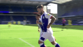 Angel Of The North Celebration GIF by Blackburn Rovers
