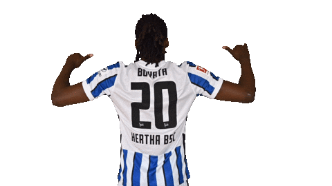 Home Swipe Up Sticker by Hertha BSC