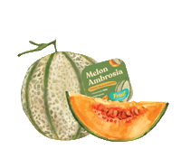 Orange Avocado Sticker by Frui Indonesia
