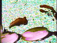 p_spurlock preston spurlock the johns GIF