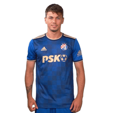 Football Soccer Sticker by GNK Dinamo