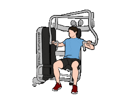 Pecs Sticker by Graduate_Fitness