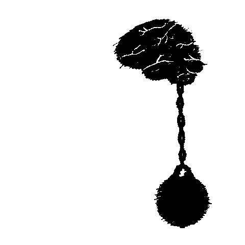 juicyroadkill brain mind jr juicy Sticker