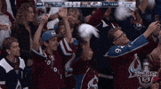 ice hockey sport GIF by NHL