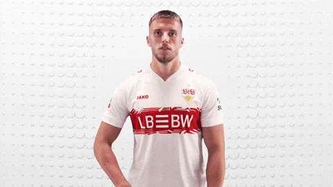 Vfb Stuttgart Football GIF by Bundesliga