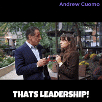 New York Vote GIF by Andrew Cuomo