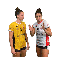 Friends Volleyball Sticker by cuneo_granda_volley