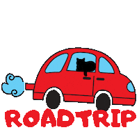 Black Cat Sticker by CatsMeowVillage