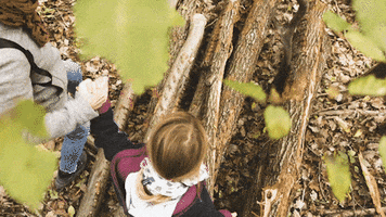 VEOCELbyLenzing wood wald spaziergang lenzing GIF