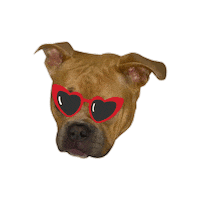 Puppy Love Bully Sticker by Frazetta Girls