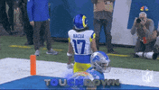 Nfl Wild Card Football GIF by NFL