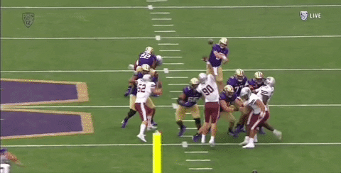ccole20 giphygifgrabber GIF
