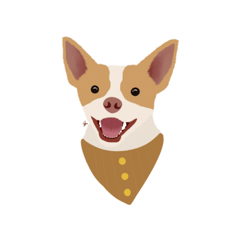 Dog Chihuahua Sticker
