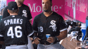 Jos Sneer GIF by MLB