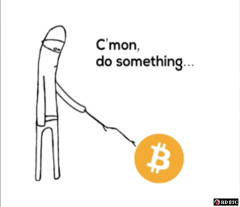 RD_btc bitcoin rocket do something rdbtc GIF