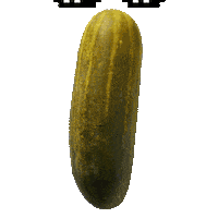 Big Deal Pickle Sticker by Jimmy John's