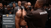 ufc 205 GIF