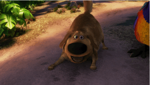 dog fetch GIF by Disney Pixar