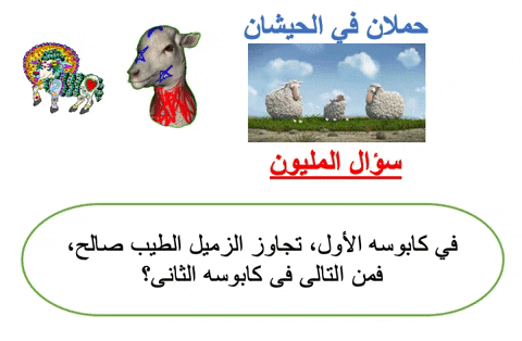 lionthewader giphygifmaker giphyattribution GIF