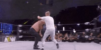 Chris Jericho Aew On Tnt GIF by All Elite Wrestling on TNT