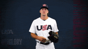 Pro GIF by USA Baseball