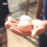 Good Morning Cooking GIF by TRT